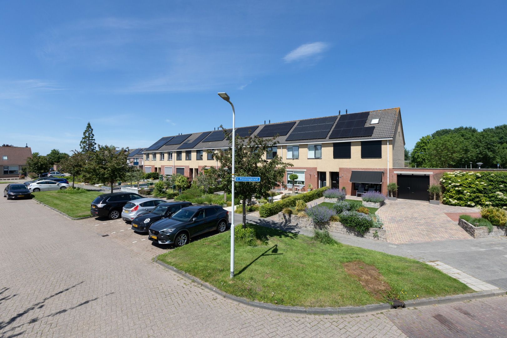 Foto 42 van Penningkruid 39