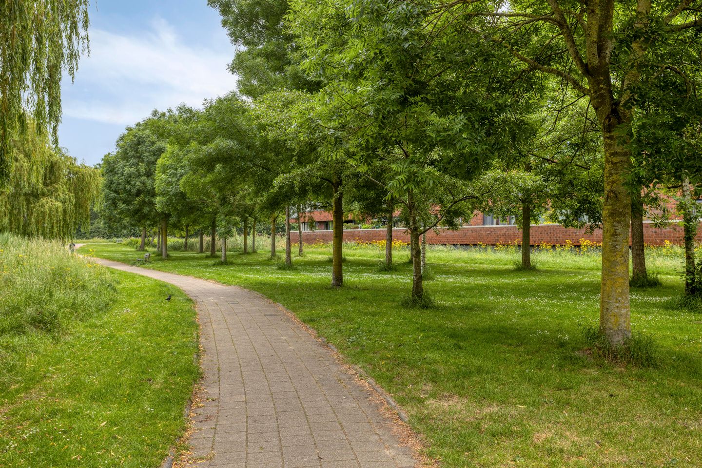 Photo 35 of Muzenlaan 145