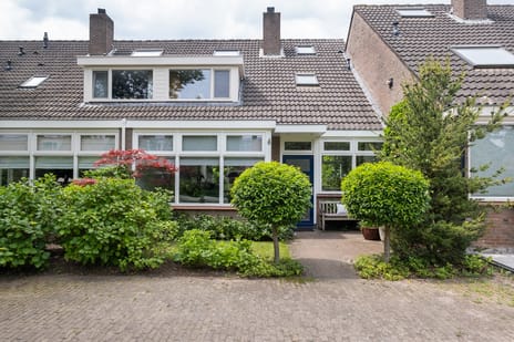 van Necksingel thumbnail