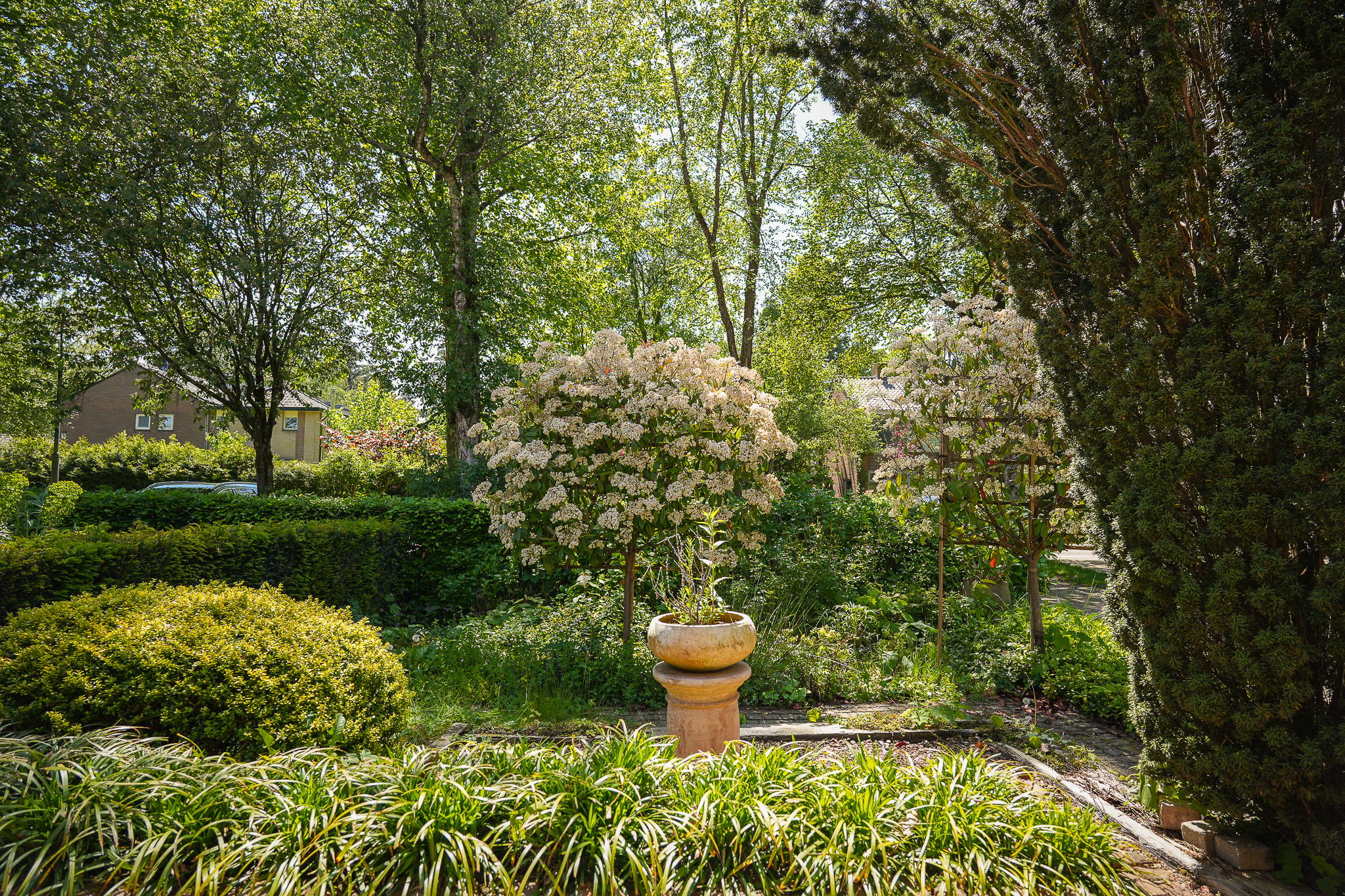 Photo 36 of Haarweg 3