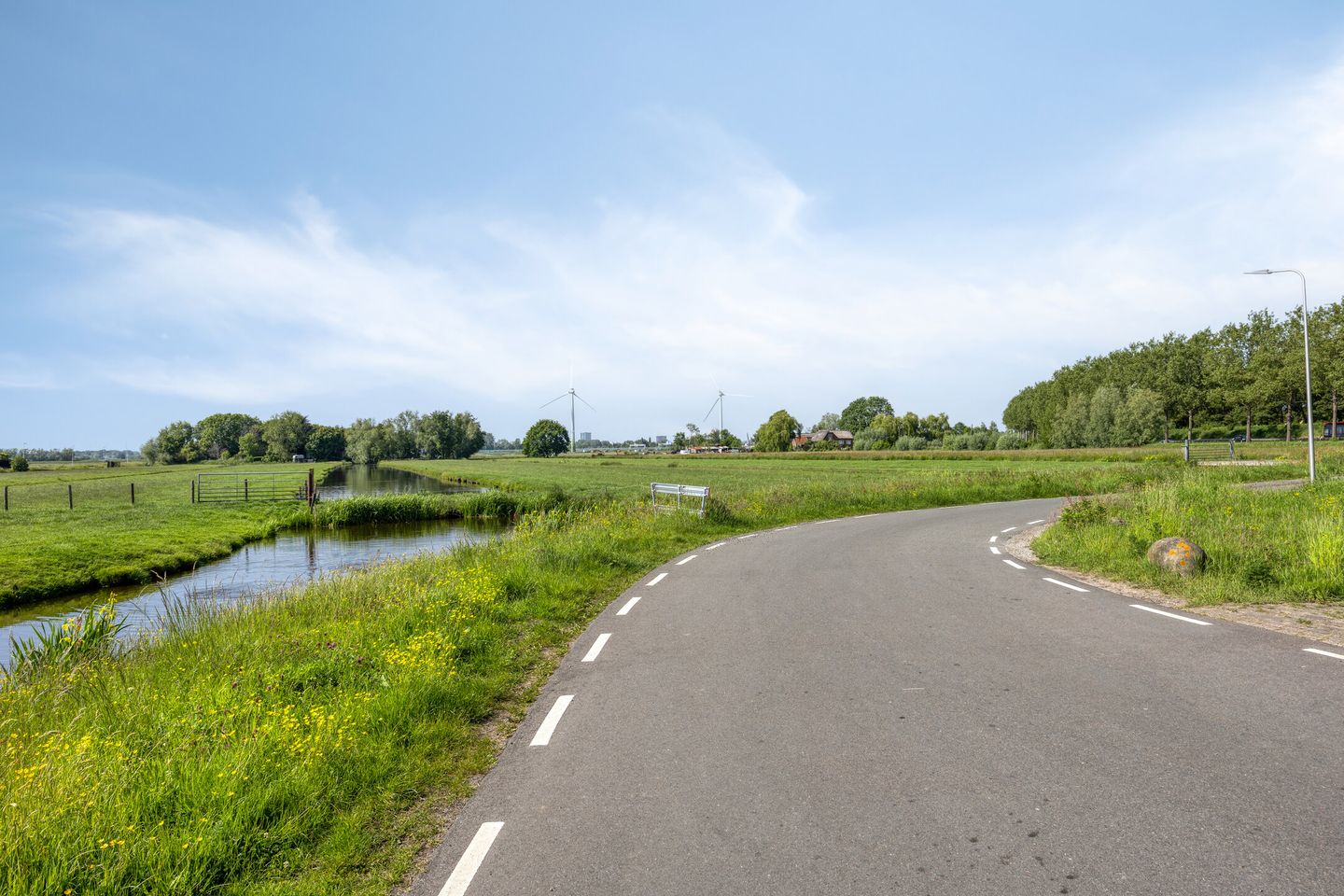 Foto 40 van Paardebloemweg 9