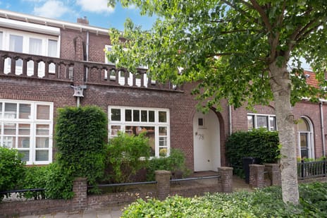 Mr. van Coothstraat thumbnail