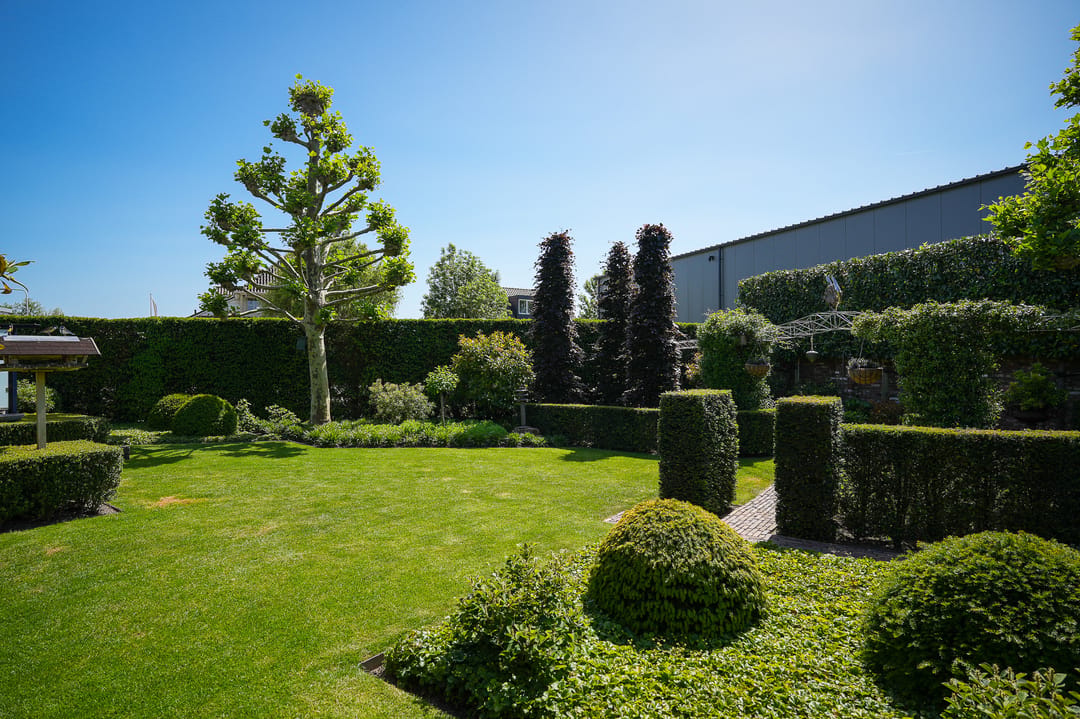 Foto 41 van Brouwersstraat 32