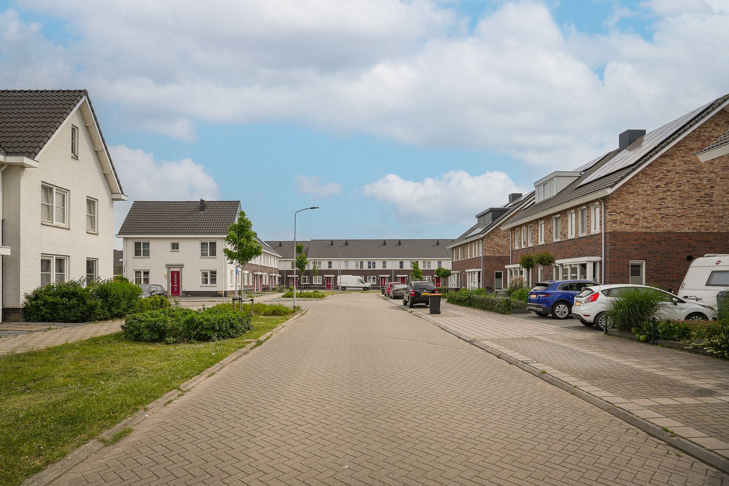 Foto 4 van Aardbeivlinder 133