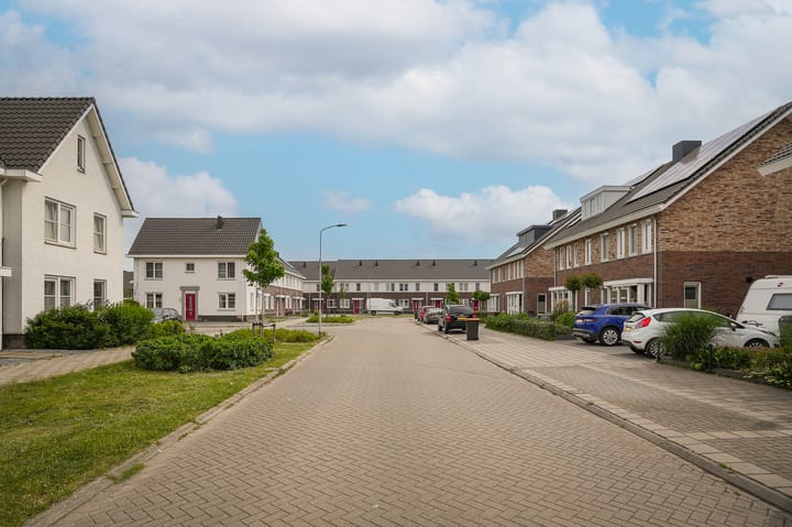 Foto 4 van Aardbeivlinder 133
