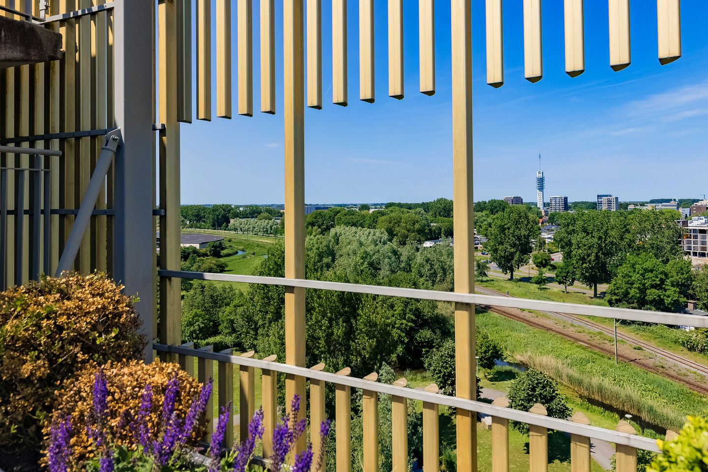 Photo 59 of Zuidland 65