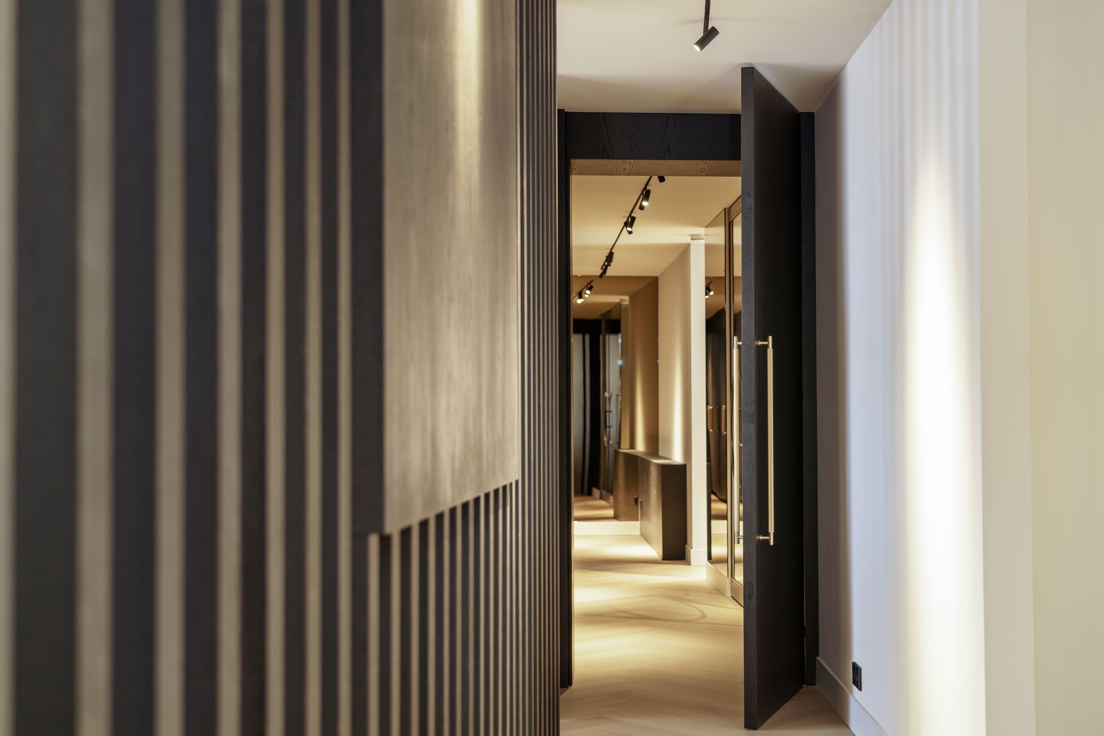 Photo 54 of Zuidland 65
