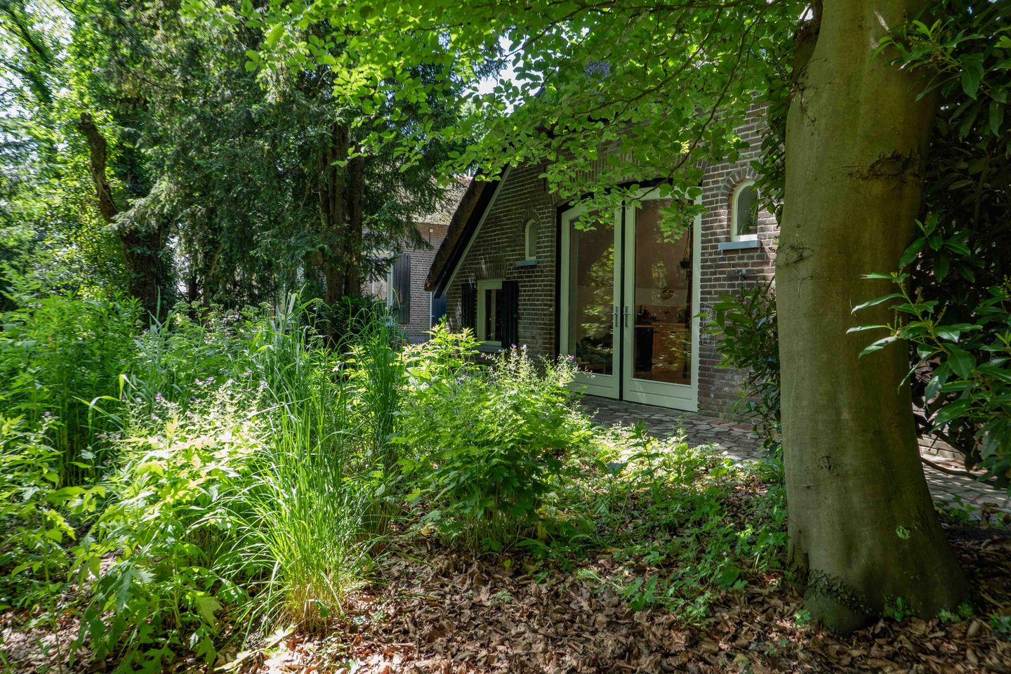 Exceptional Thatched Farmhouse with Pool, Sauna, and Private Guest House — 65