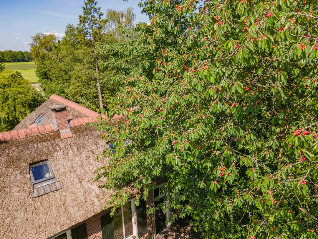 Exceptional Thatched Farmhouse with Pool, Sauna, and Private Guest House — 71