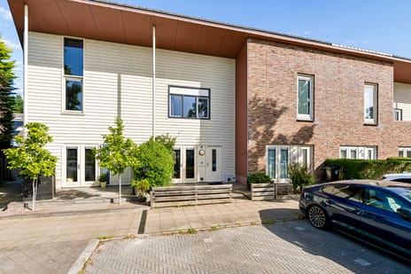 Brancusistraat thumbnail
