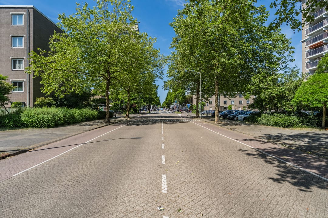 Foto 41 van Geervliet 5
