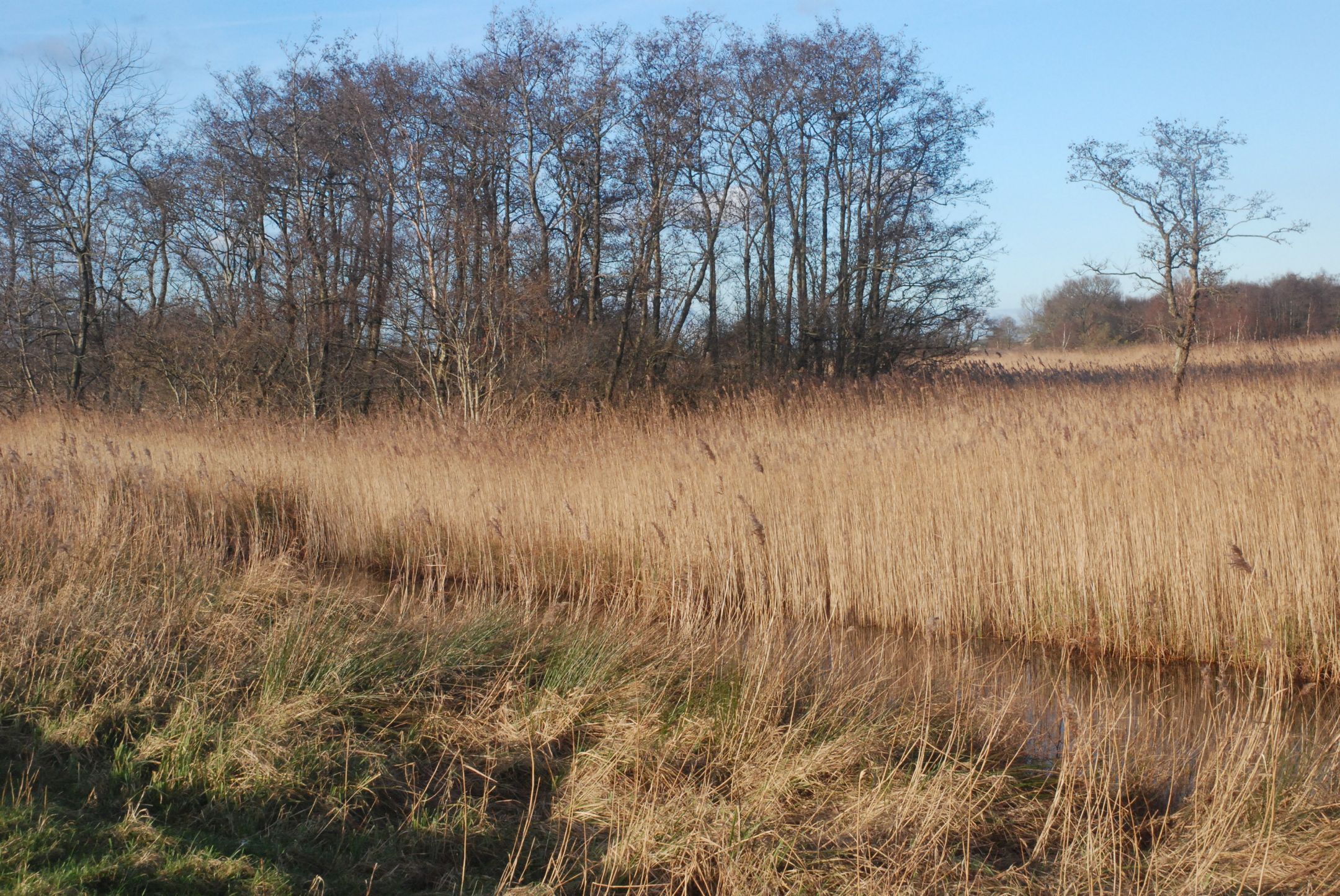 Photo 60 of Botsholsedwarsweg 2