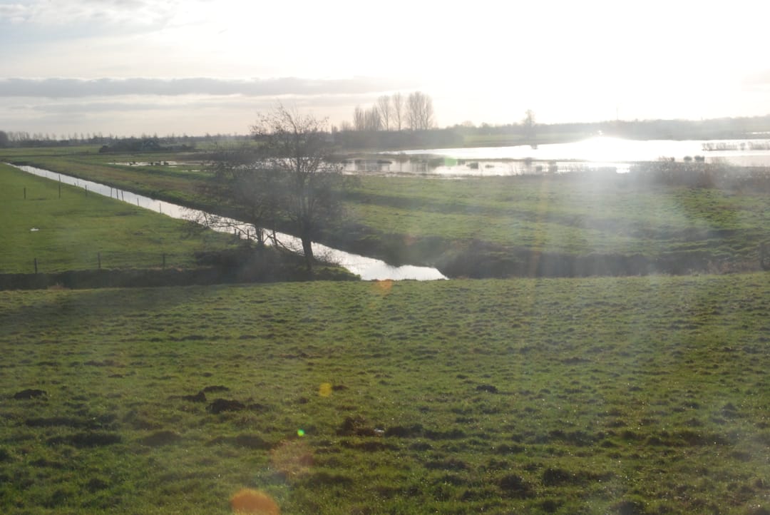 Photo 62 of Botsholsedwarsweg 2