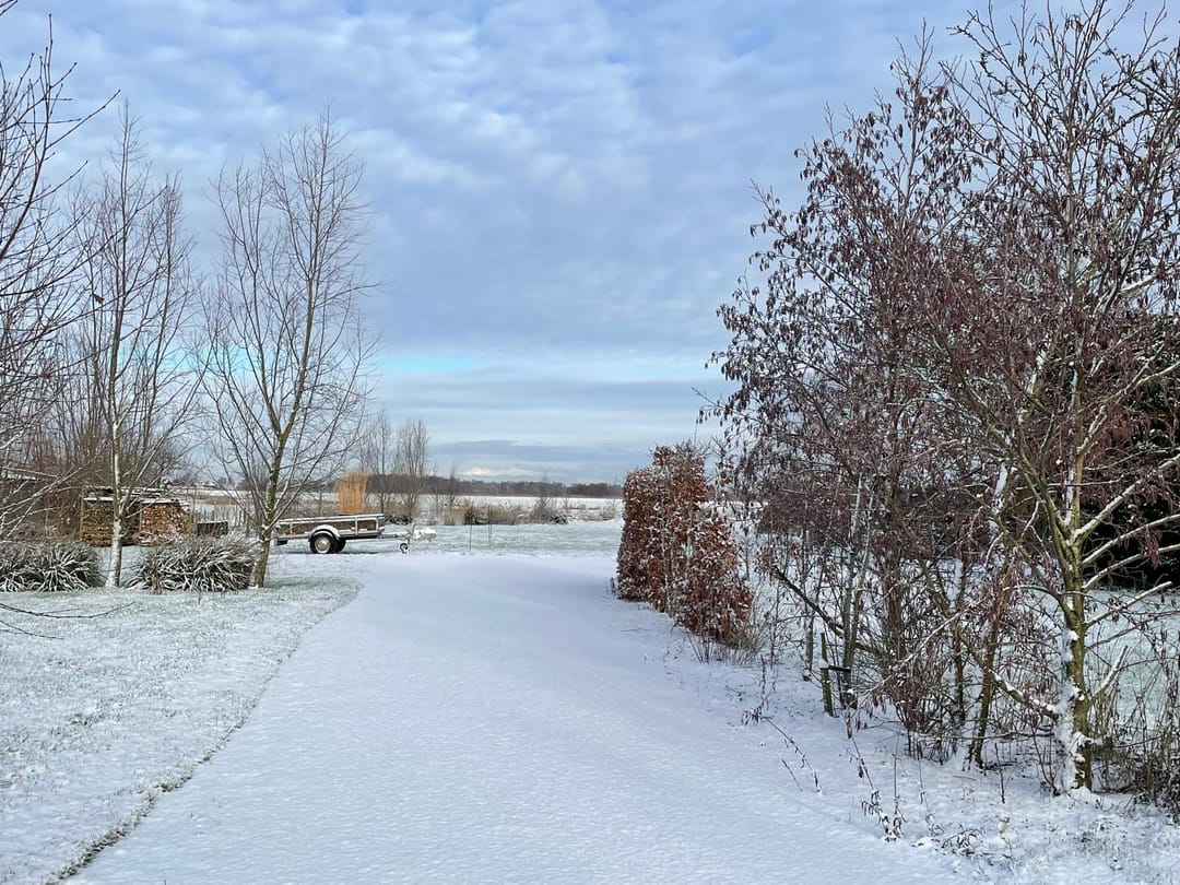 Photo 61 of Botsholsedwarsweg 2