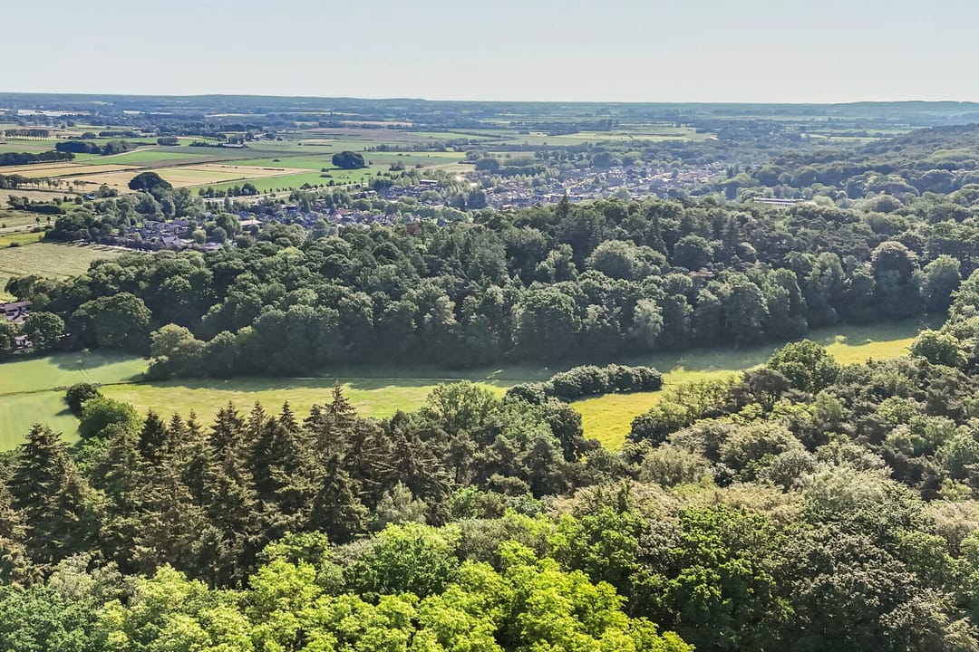 Renovated Forest-View Apartment with Solar Panels in Berg en Dal — 31