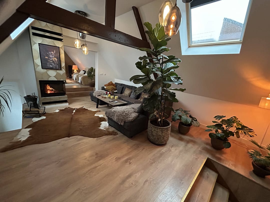Fully Renovated Spacious Detached Home with Garage and Roof Terrace in Kerkrade — 26