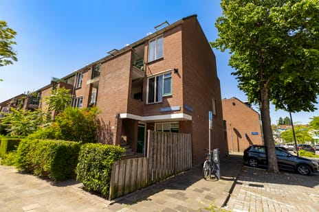 Spiegelnisserstraat thumbnail