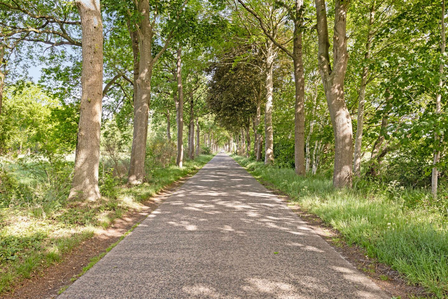 Photo 65 of Alberdalaan 2