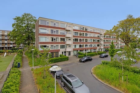 Adenauerlaan thumbnail