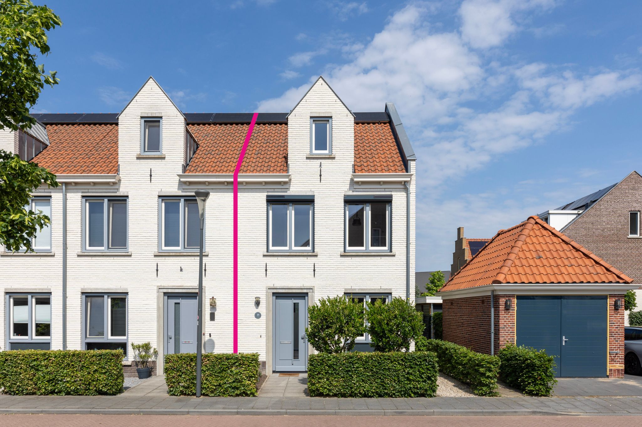 Kolibrie 34 