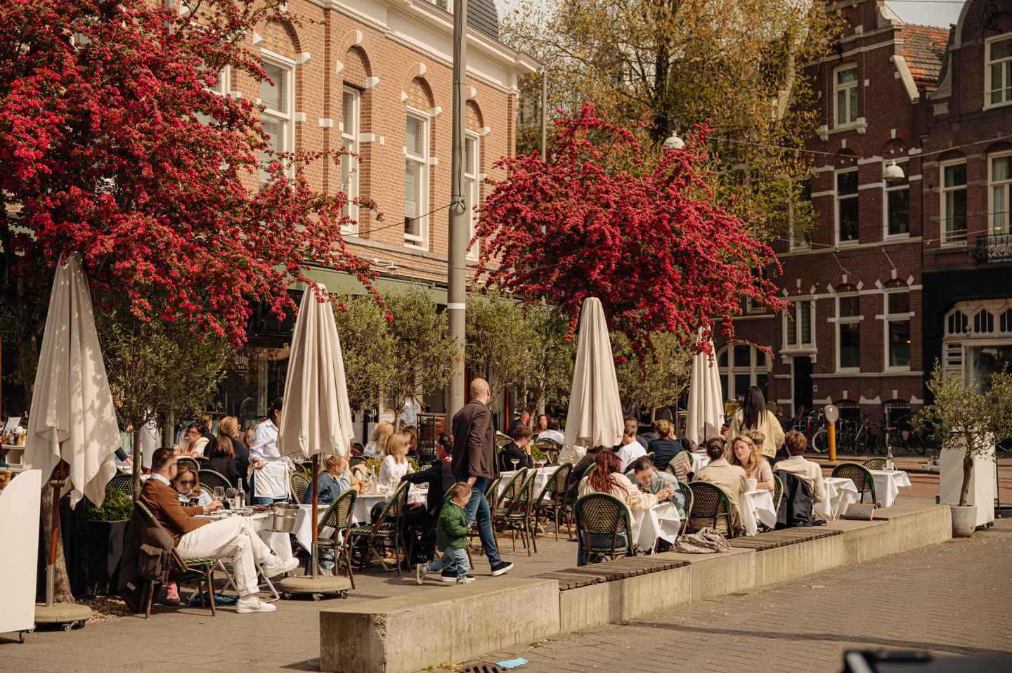 Grand 1895 Family Residence with Vondelpark Views and Authentic Period Details — 49