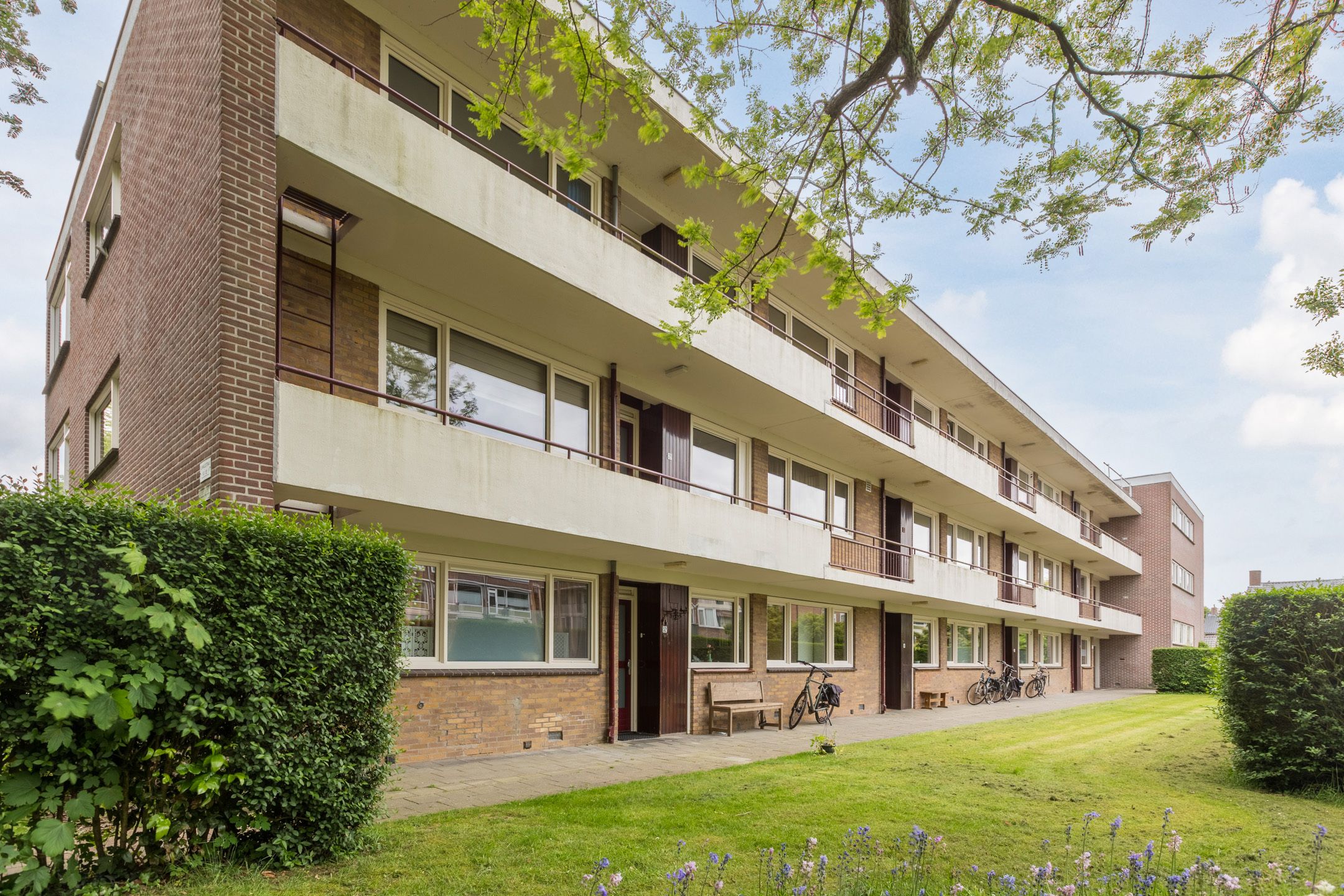 Van der Waalsstraat 50 