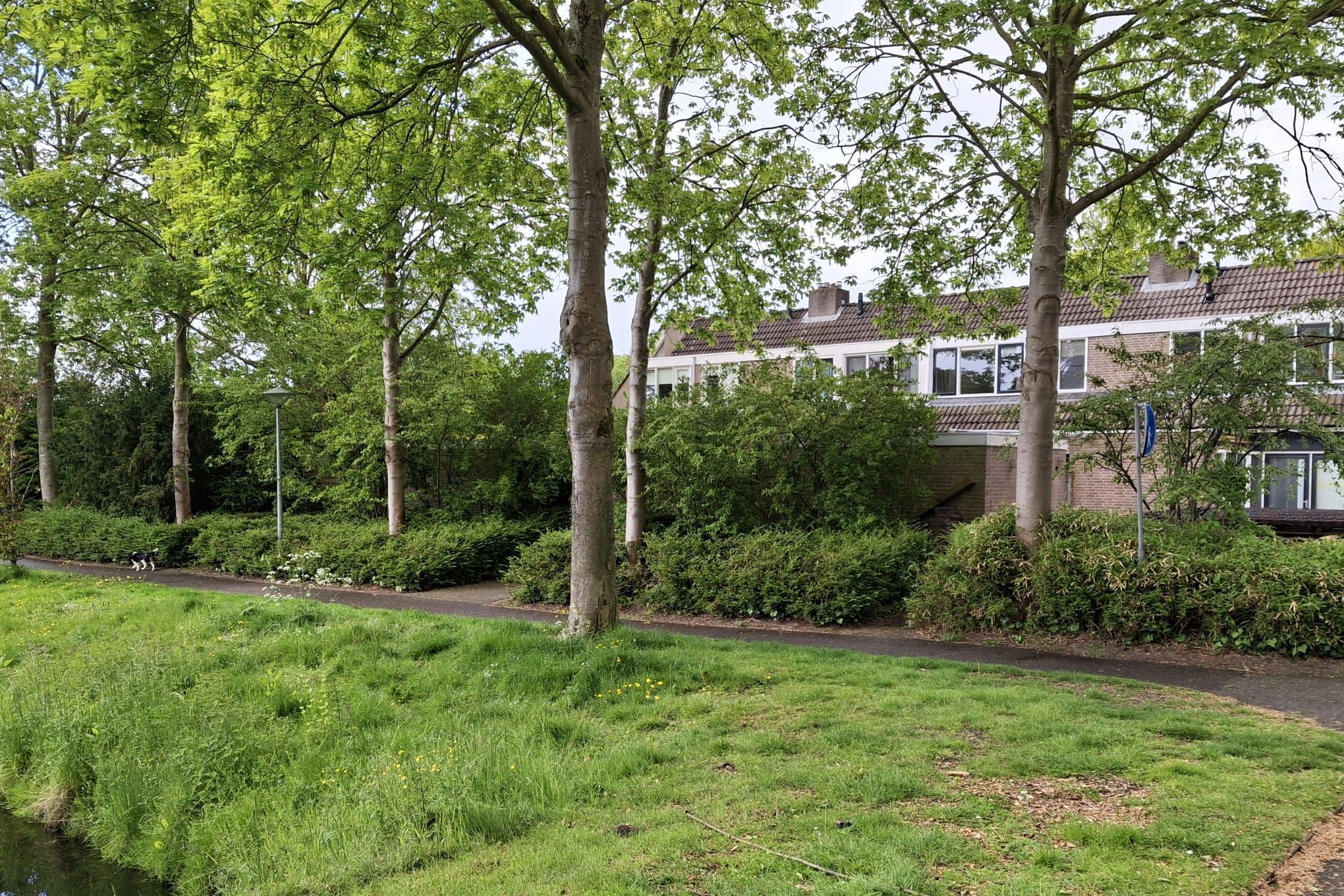Photo 36 of Krommewoud 27
