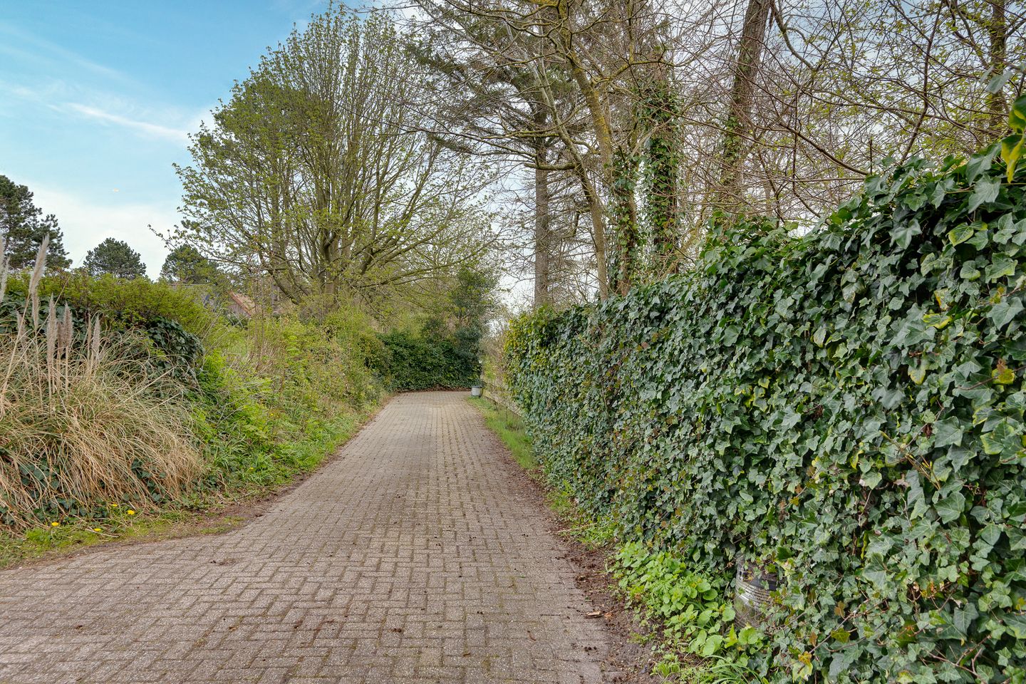 Foto 49 van Reddingsweg 1-A