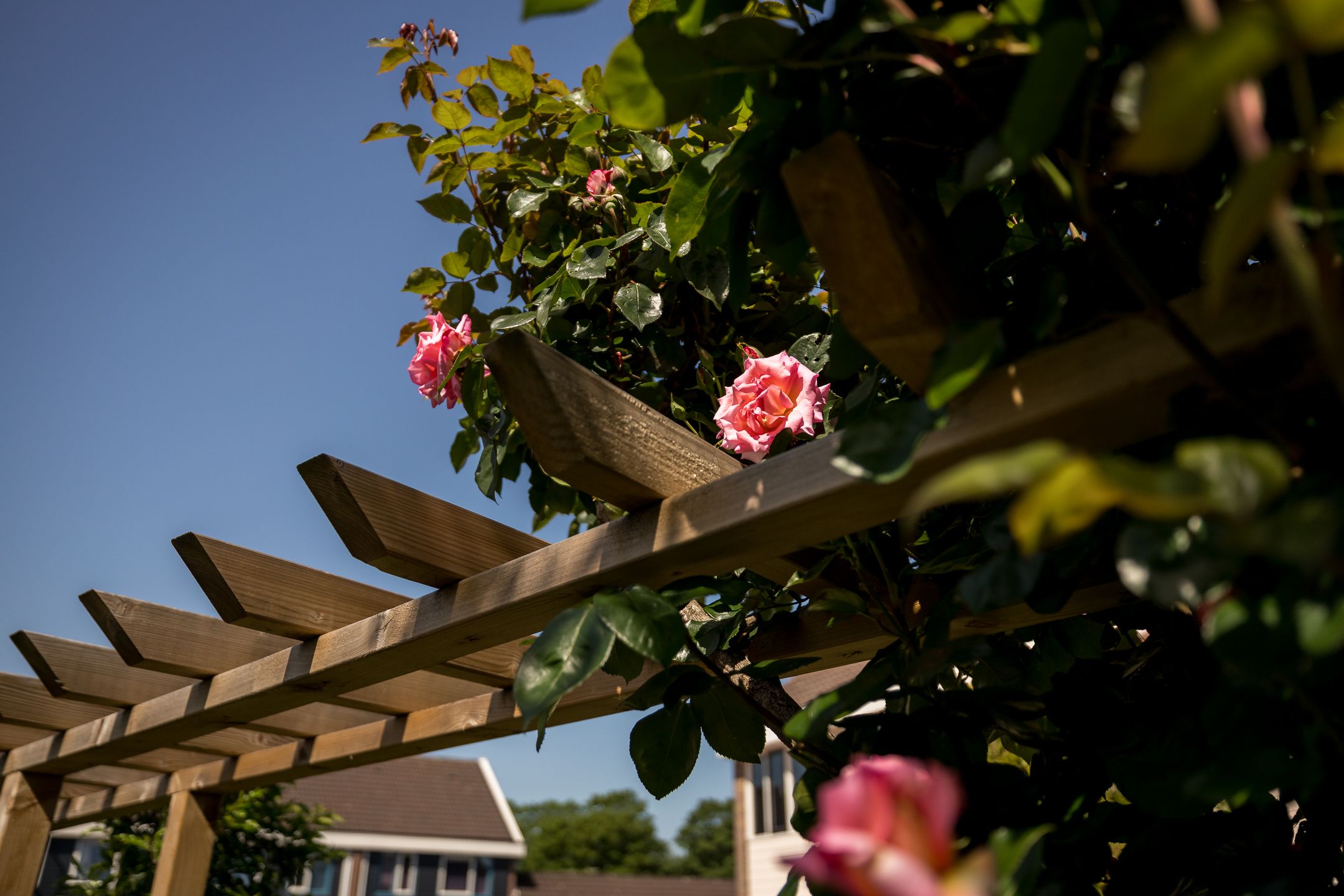 Photo 36 of Kleine Immert 18