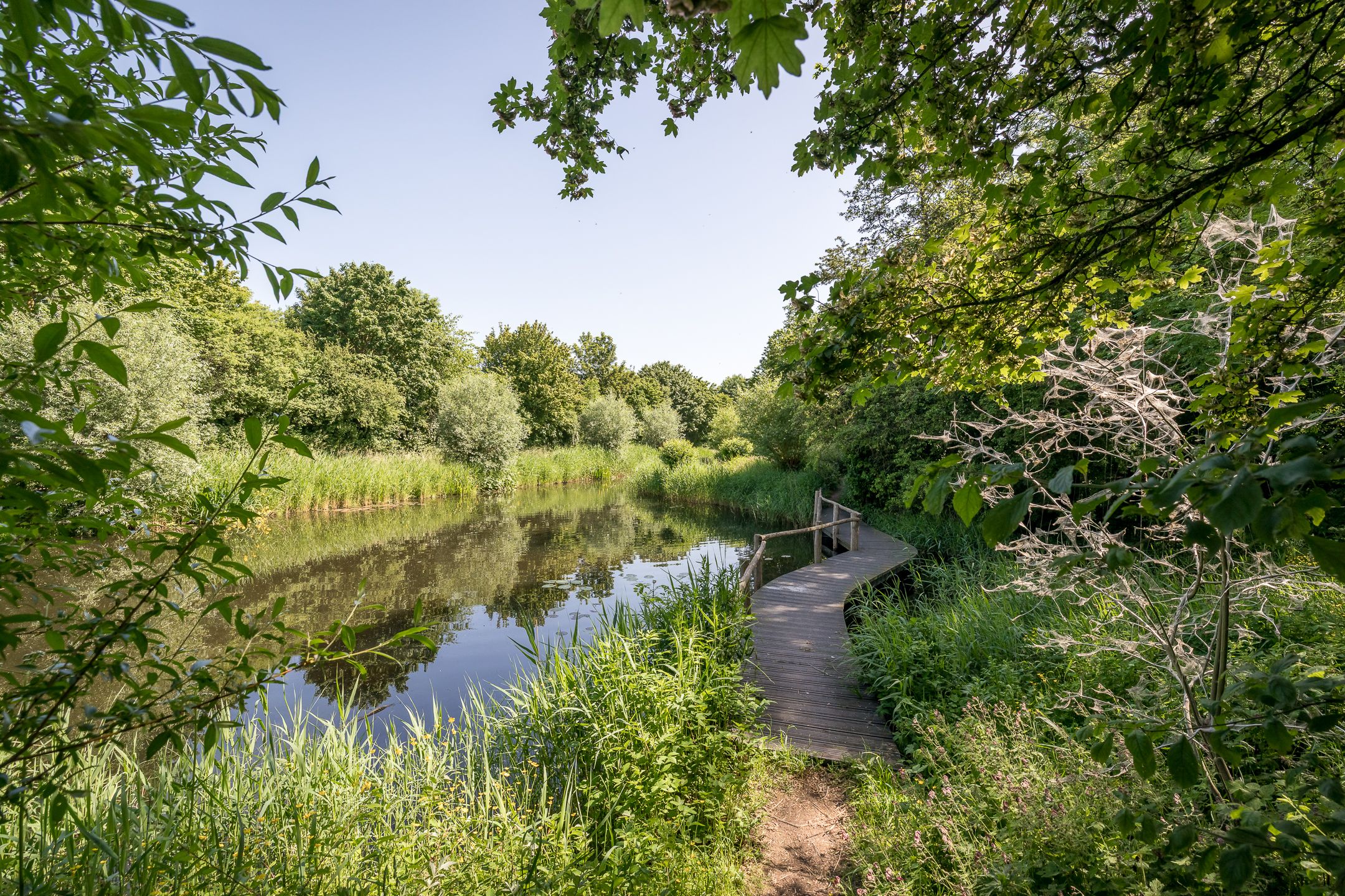 Photo 42 of Kleine Immert 18