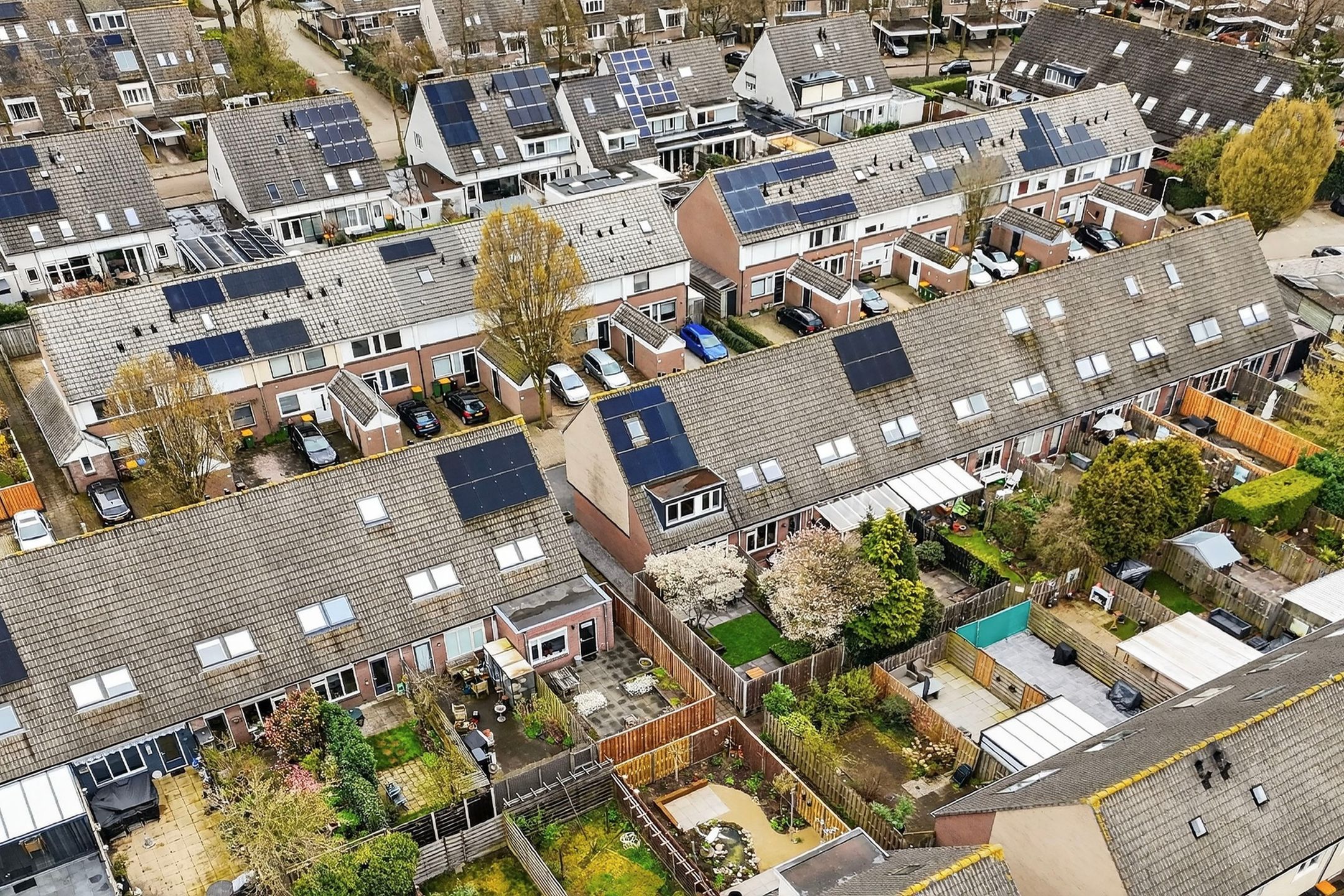 Foto 42 van Netscherstraat 19