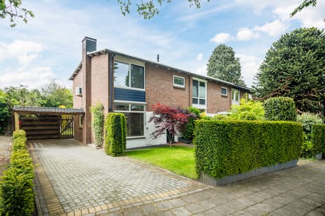 van Hogendorplaan thumbnail