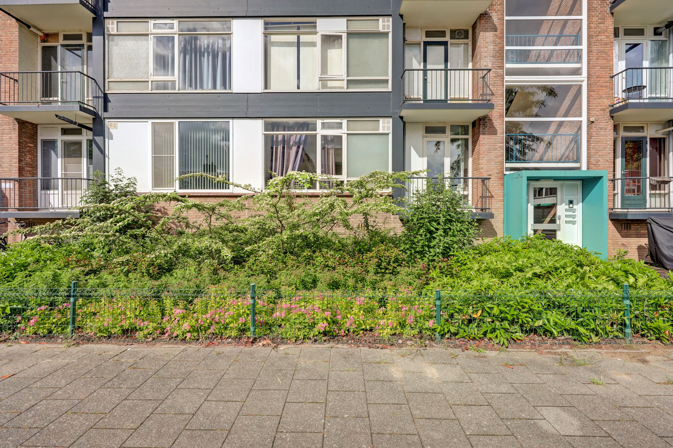 Wijnruitstraat 31 