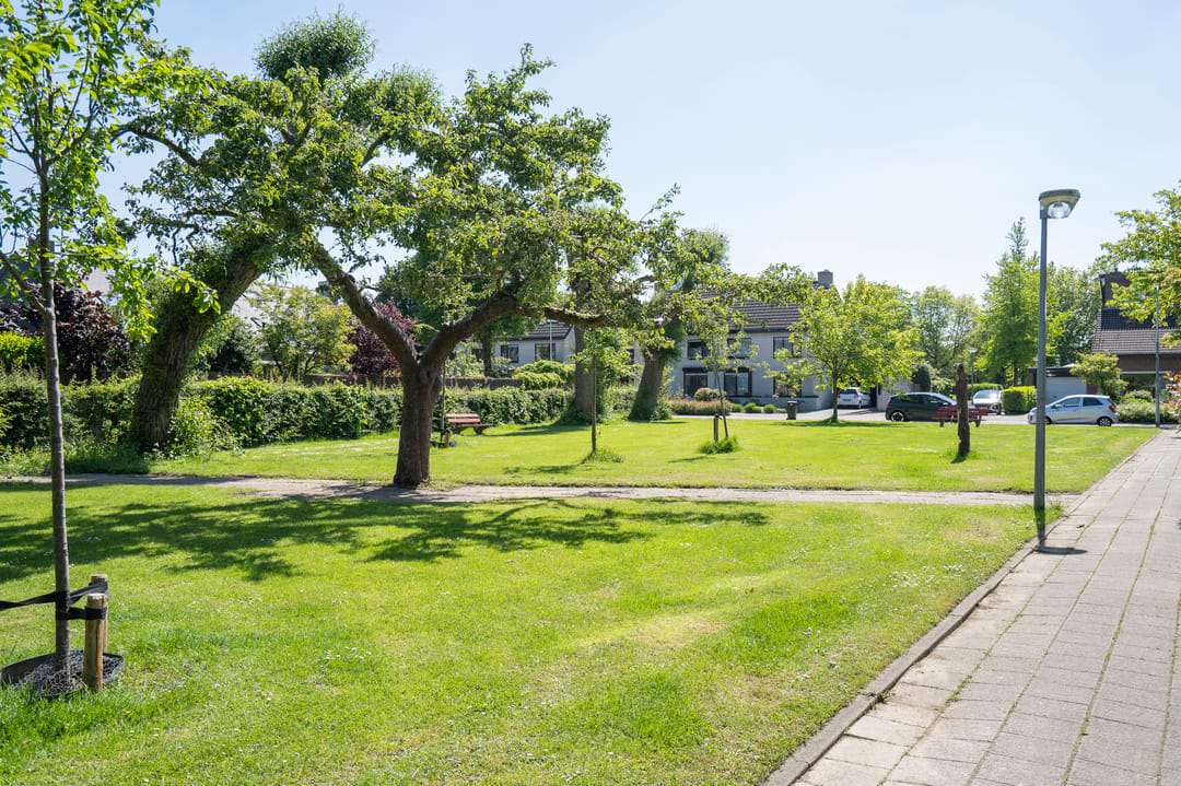 Foto 46 van Moerbeiboom 10