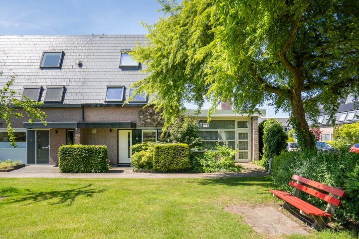 Foto 4 van Moerbeiboom 10
