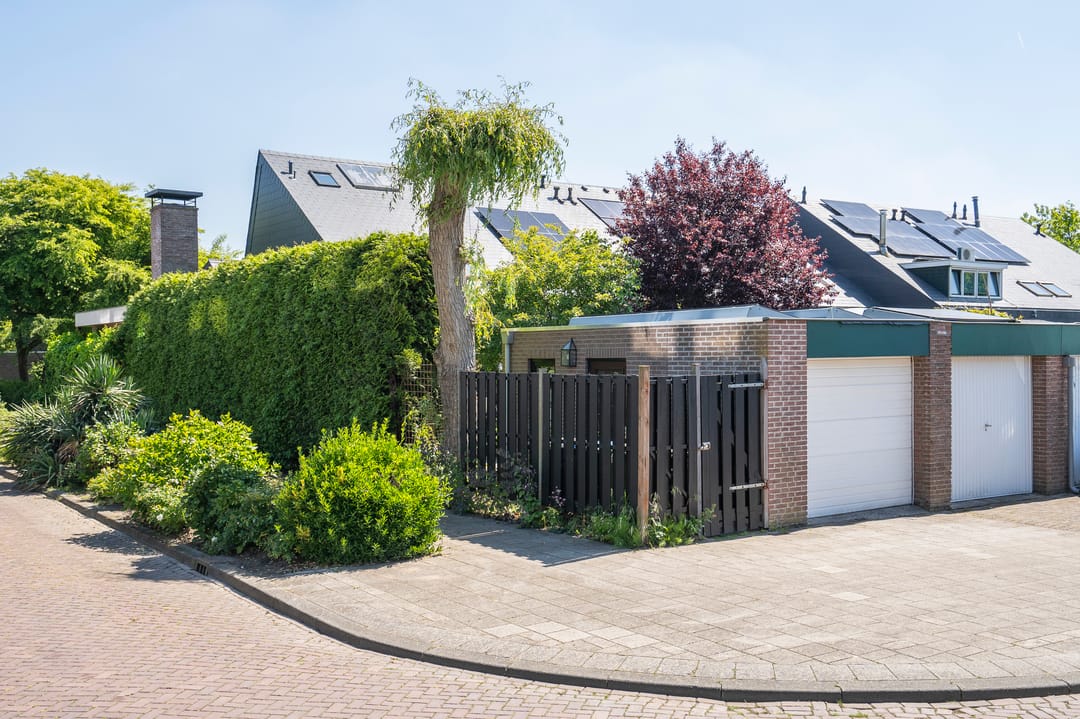 Foto 43 van Moerbeiboom 10
