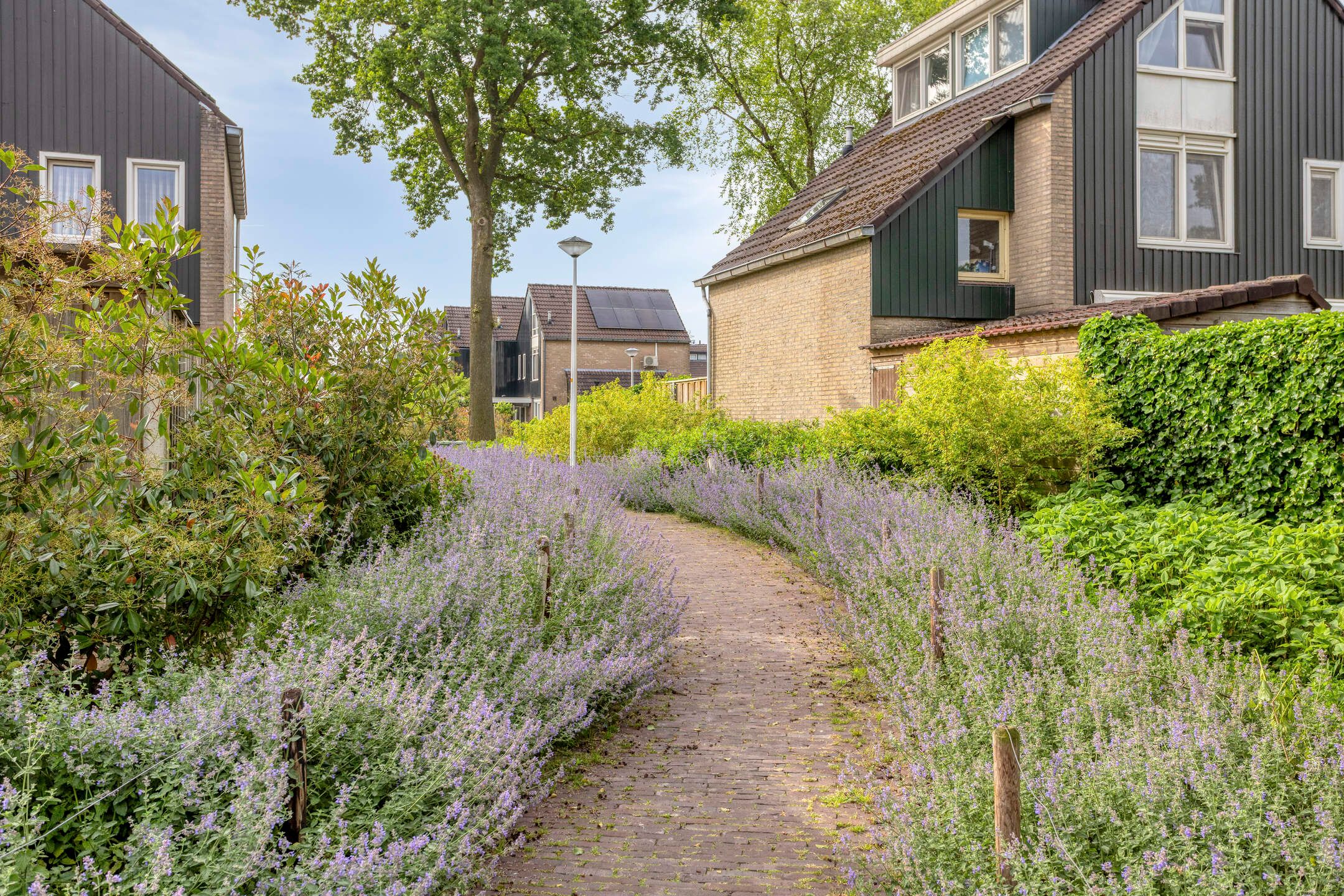 Foto 42 van Herman van der Haarstraat 30