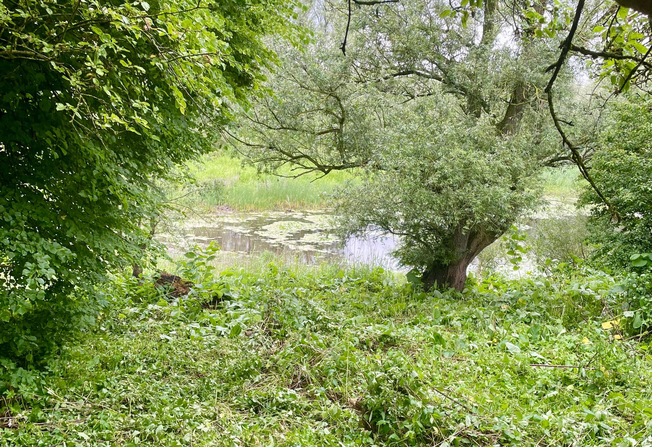 Foto 63 van Duffeltdijk 9