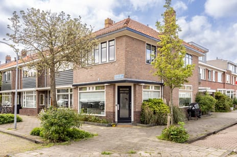 Karel van Manderstraat thumbnail