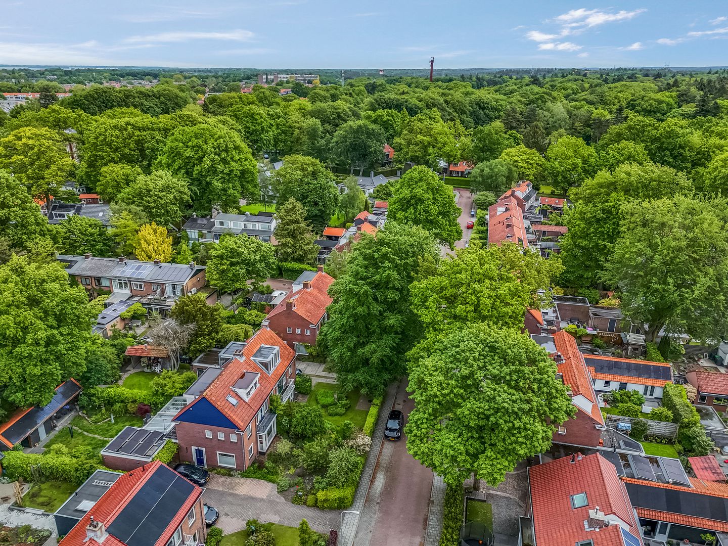 Foto 44 van Dennenlaan 22