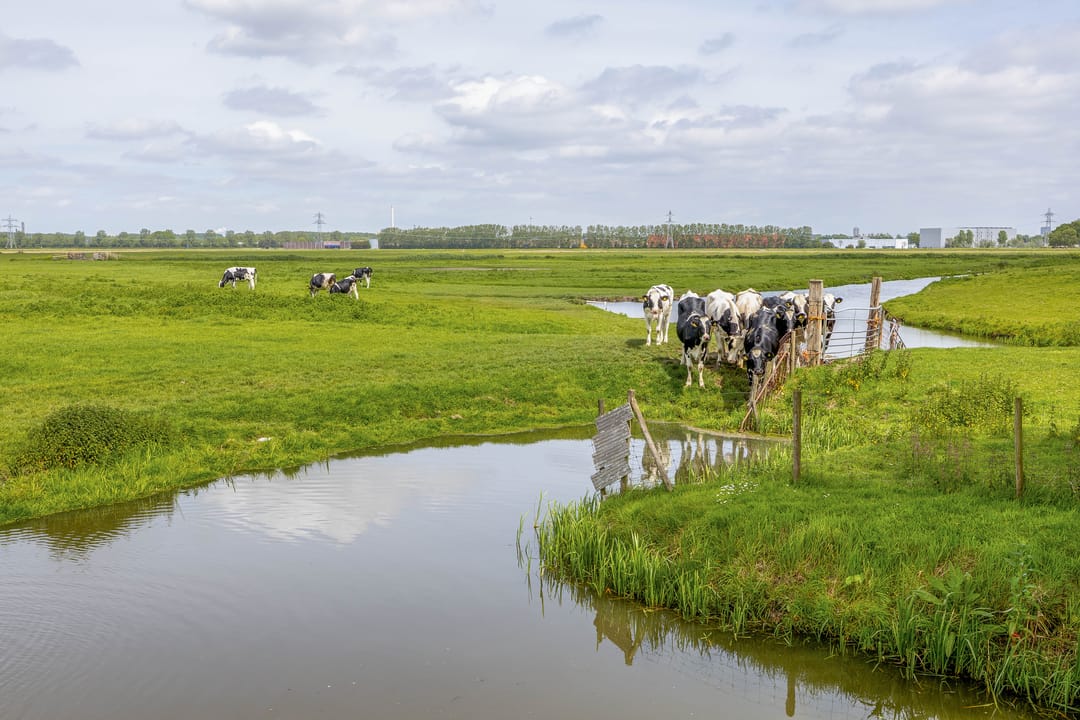 Photo 83 of Konijnendijk 3