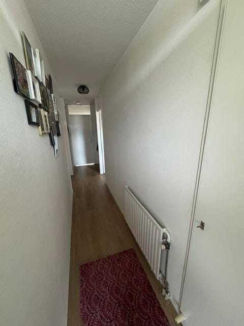 Foto 3 van Den Bogerd 41