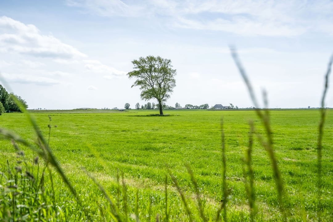 Foto 31 van De Kat 21