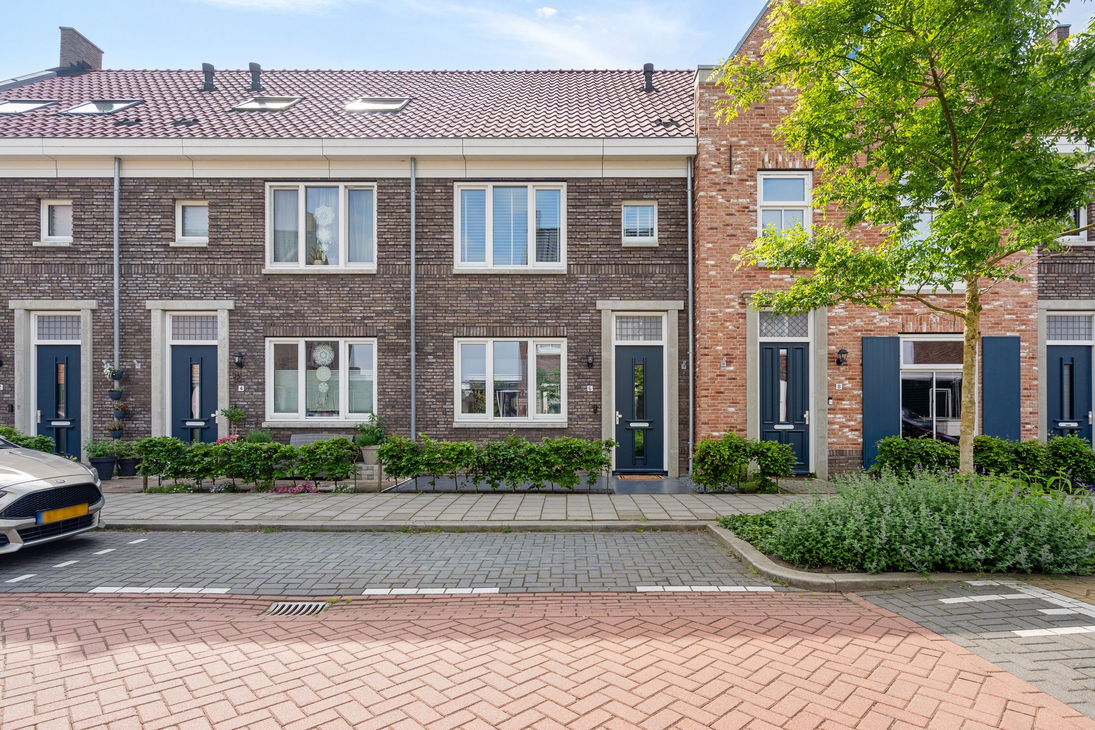 Bijenkorf 6 