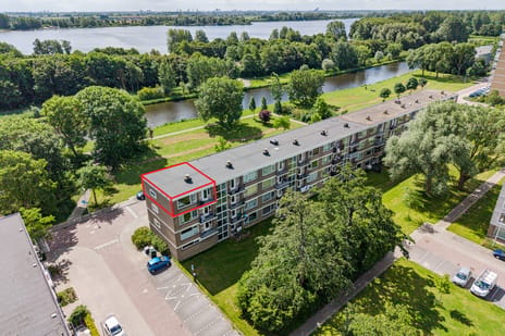 Frans Halsplantsoen thumbnail
