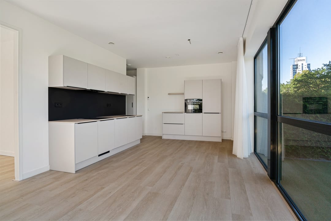 Foto 11 van Rivium 1e straat 61-E