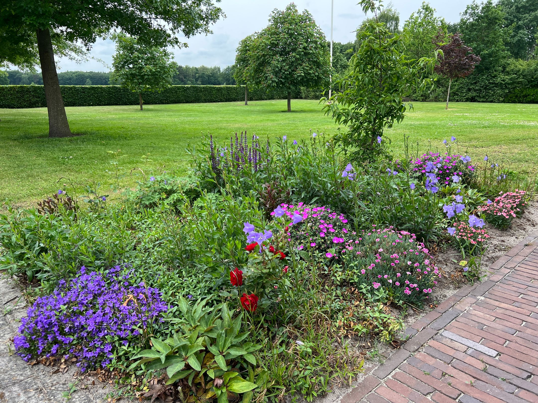 Photo 57 of Heemserveldweg 1-B