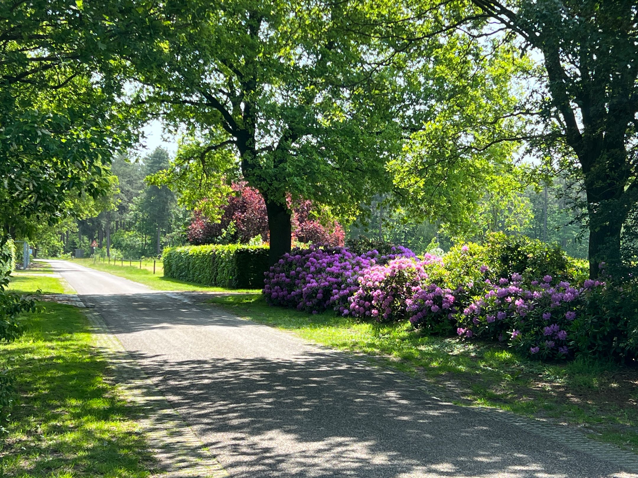 Photo 3 of Heemserveldweg 1-B