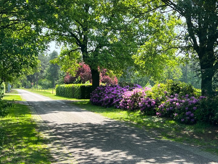 Photo 3 of Heemserveldweg 1-B