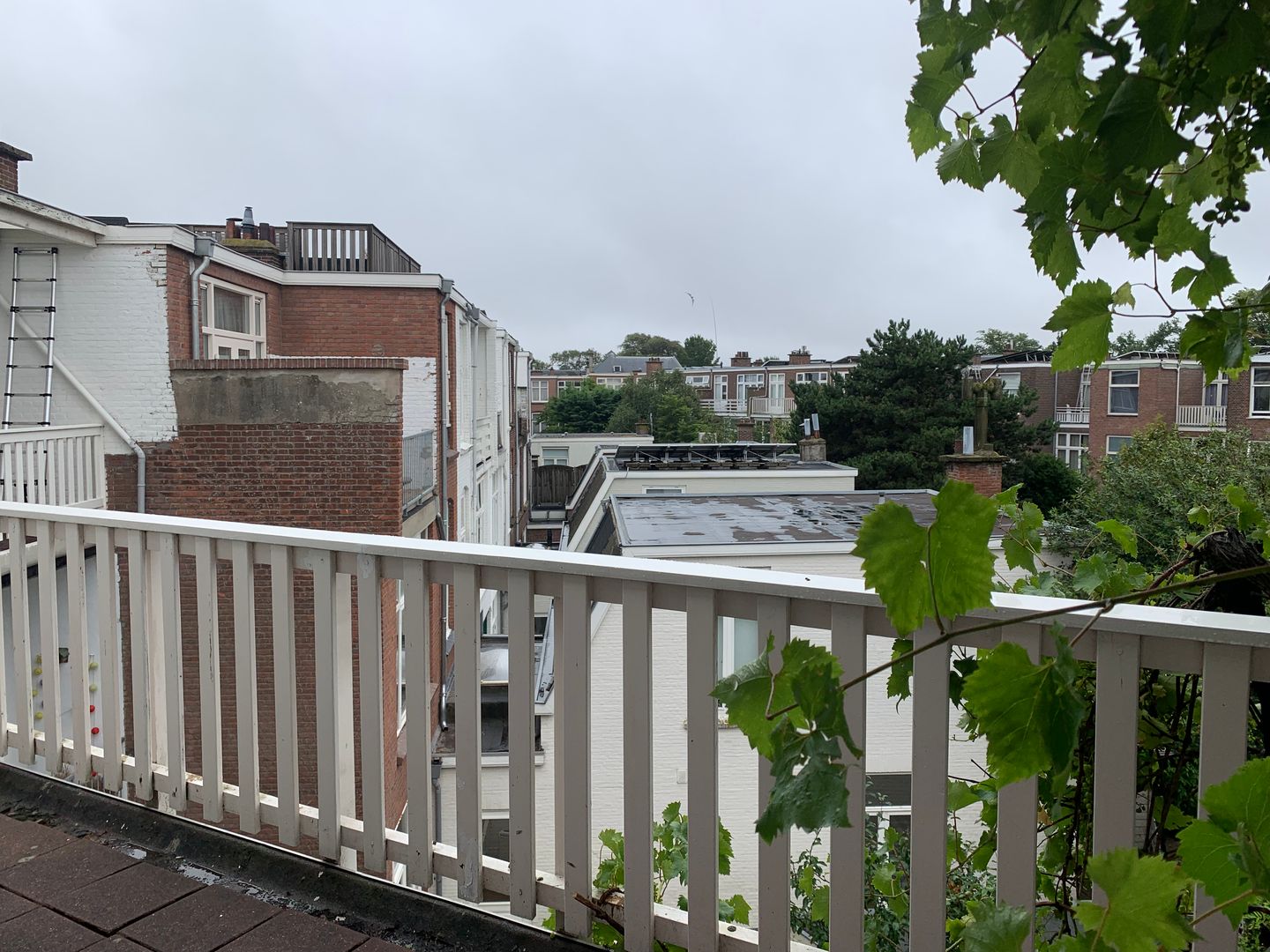 Foto 4 van Van Aerssenstraat 217